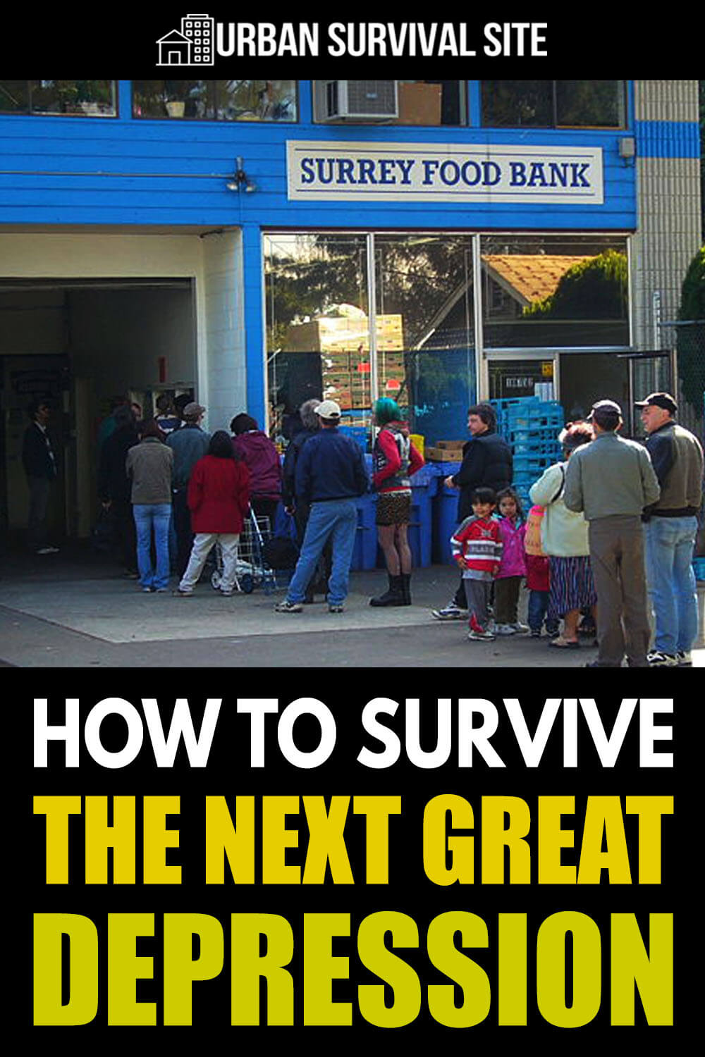 How to Survive The Next Great Depression
