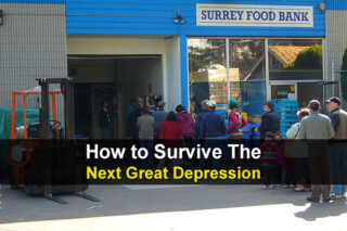 How to Survive The Next Great Depression