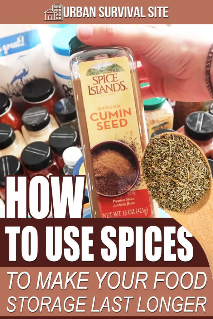 How To Use Spices To Make Your Food Storage Last Longer