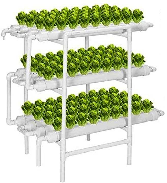 Hydroponic Setup