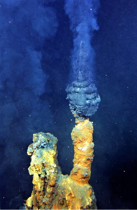 Hydrothermal Vent