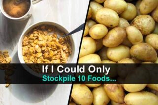 If I Could Only Stockpile 10 Foods…