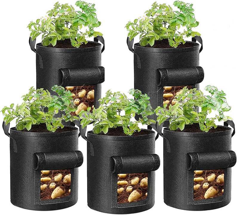 Indoor Potato Containers
