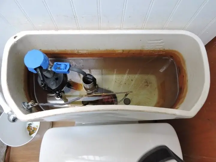 Inside a Toilet Water Tank