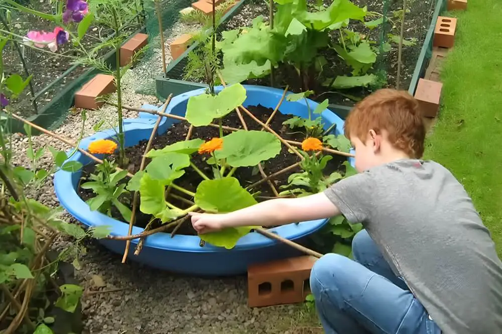 Kiddie Pool Planter