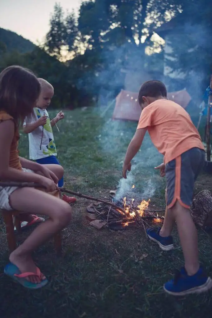 Kids Making a Campfire