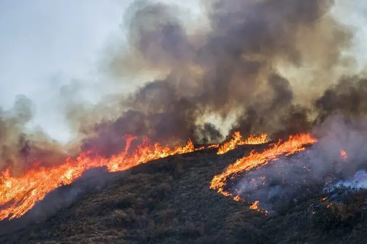 Landscape Burning in California Wildfire