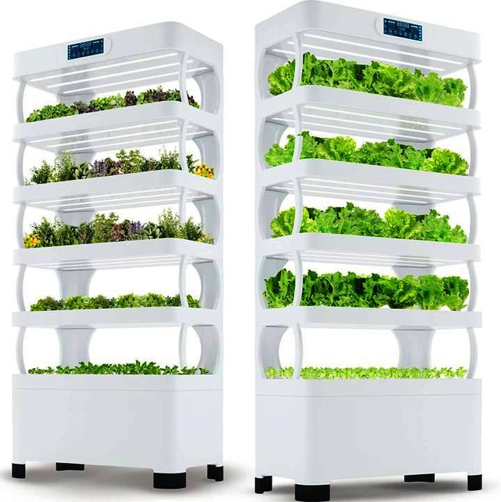 Large Hydroponic Setup