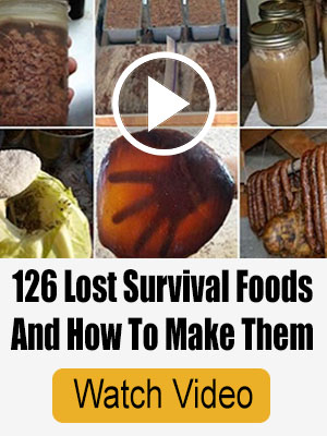 Lost Super Foods Video