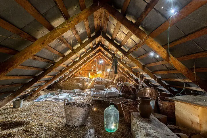 What Should You Not Store In The Attic