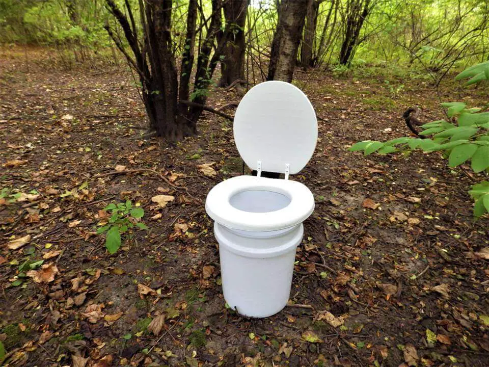 Outdoor Toilet in Woods