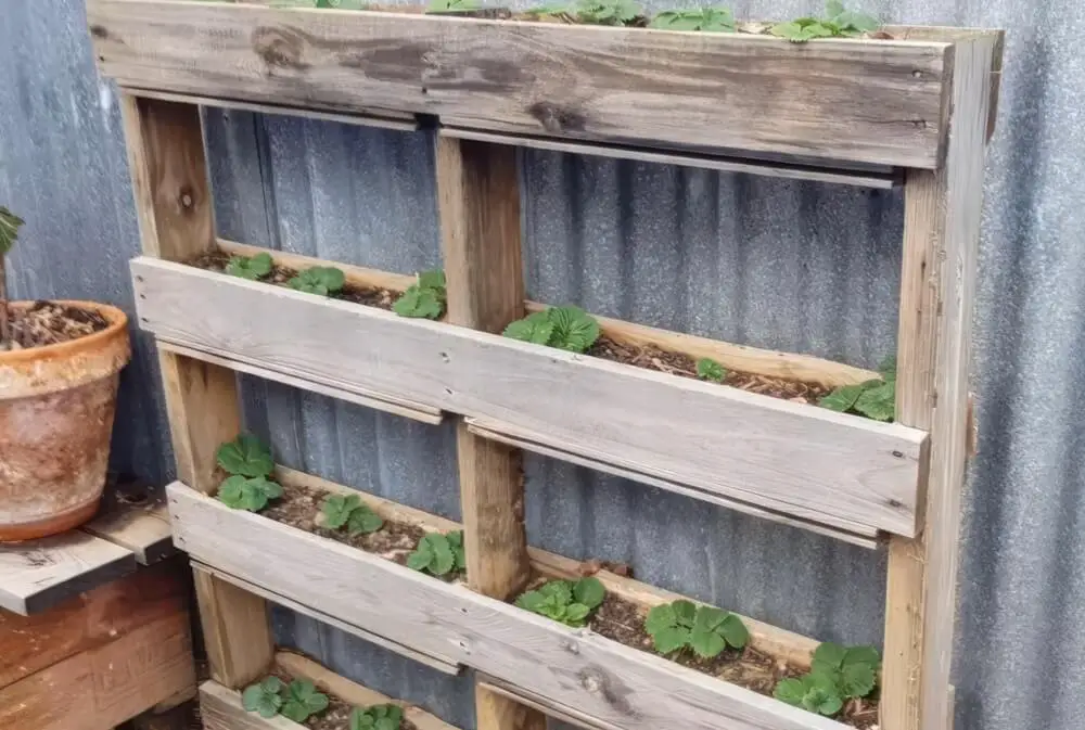 Pallet Planter