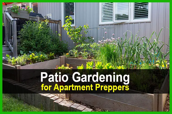 Patio Gardening for Apartment Preppers