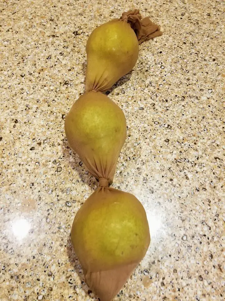 Pears Stored In Pantyhose