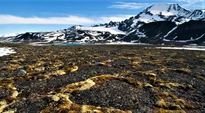 Permafrost On Tundra