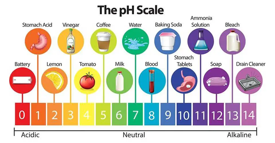 pH Scale