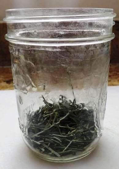 Pine Needle Tea Ingredients