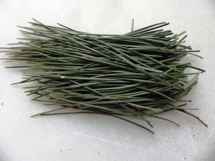 Pine Needles Removed