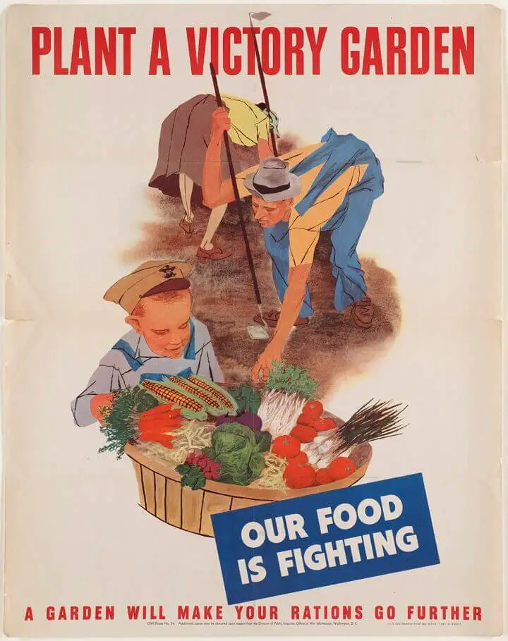 Plant a Victory Garden Poster