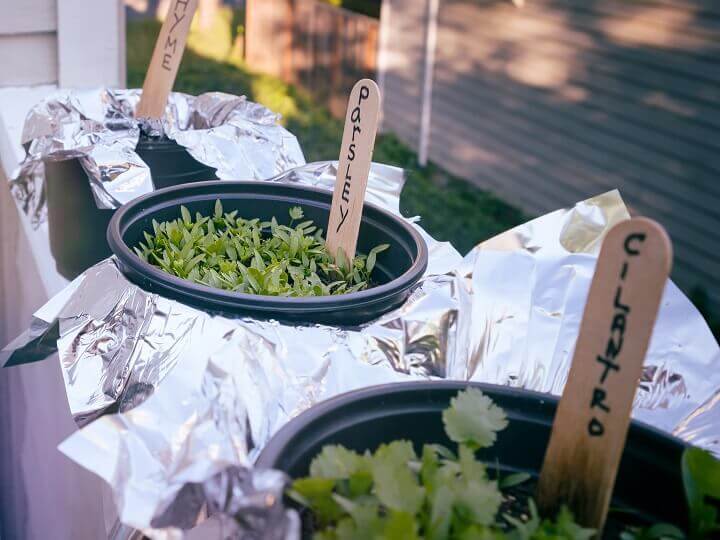 Popsicle Stick Labels in Garden