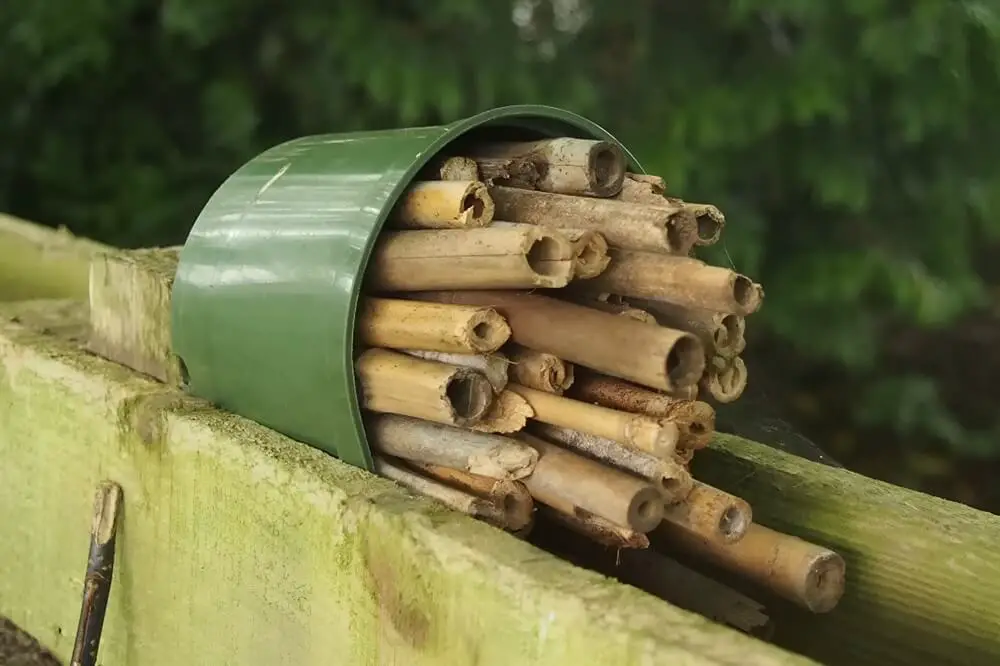 Pot as Bug Hotel
