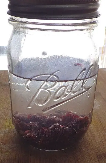 Raisins In Water Inside Jar
