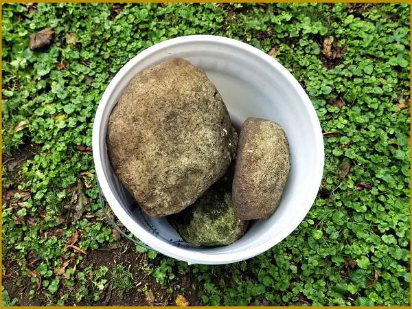 Rocks In Bucket
