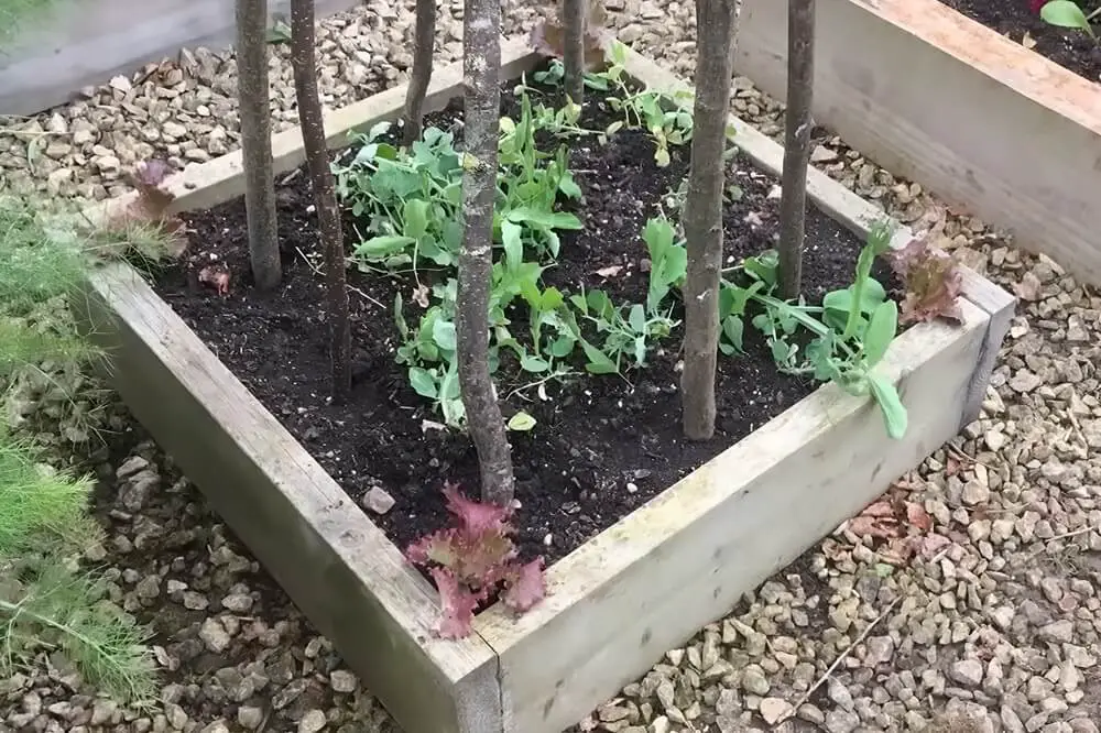 Scrap Wood Raised Bed
