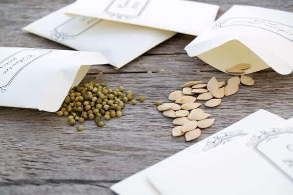 Seeds in Packets