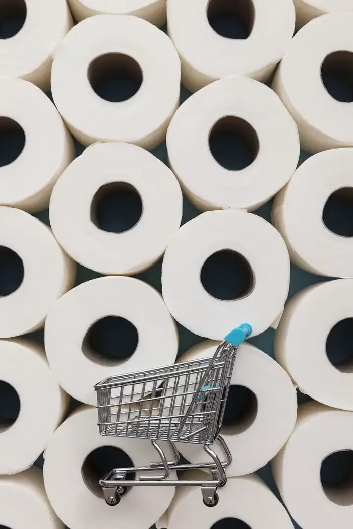 Shopping Cart in Front of Toilet Paper