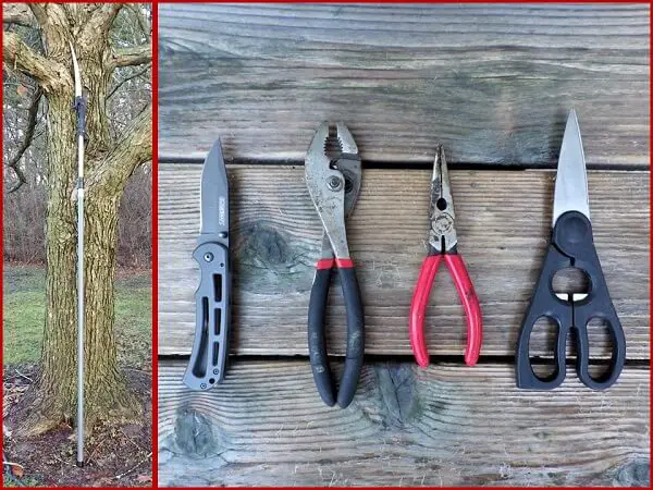 Slingshot Tools