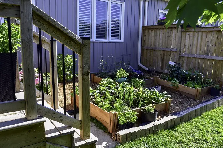 Small Backyard Garden