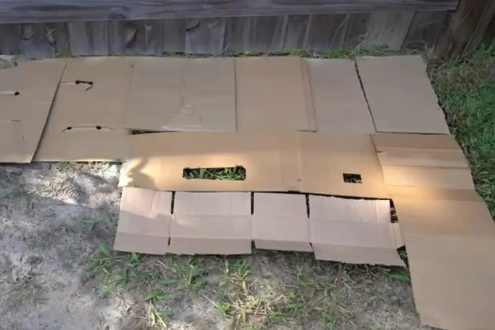 Smothering With Cardboard