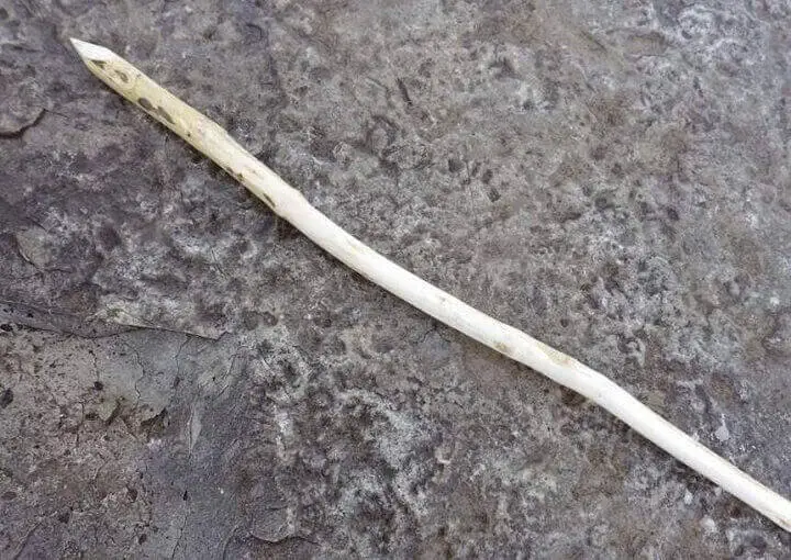 Spear from Wood B