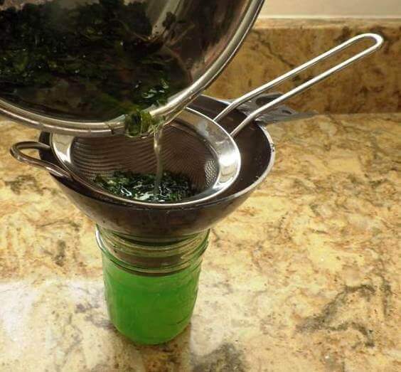 Straining Essential Oil