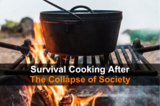 Survival Cooking After The Collapse of Society