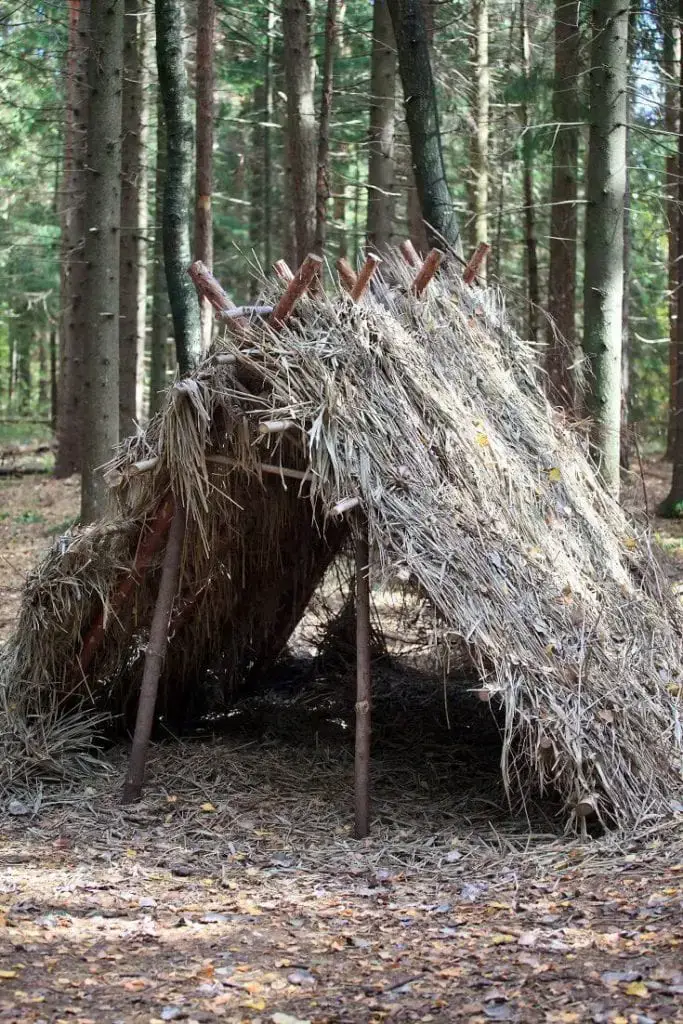 Survival Shelter in the Forest