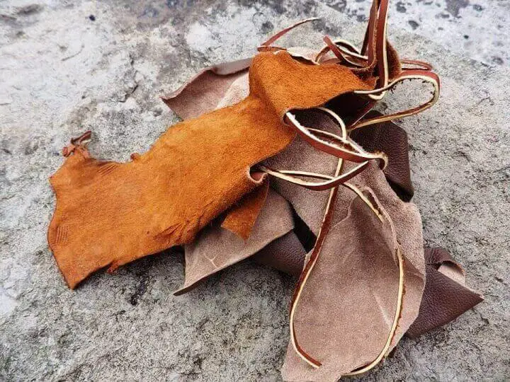 Tanned Animal Skins