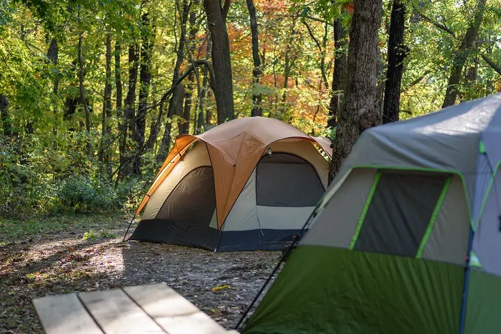 Tents In The Woods On A Fall Morning