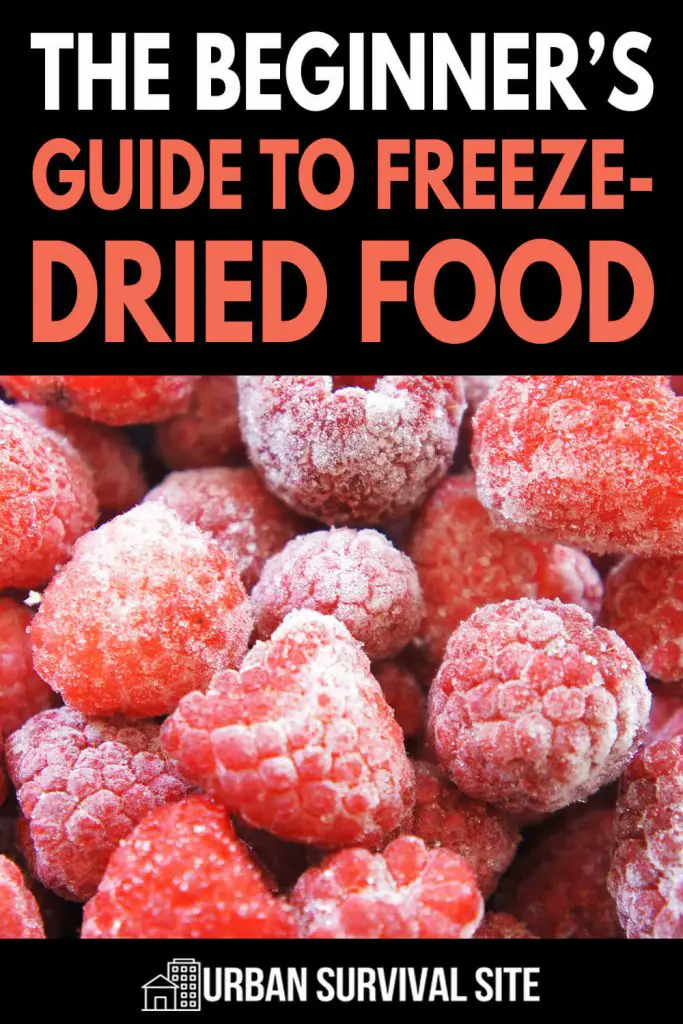 The Beginner's Guide to Freeze-Dried Food | Urban Survival Site