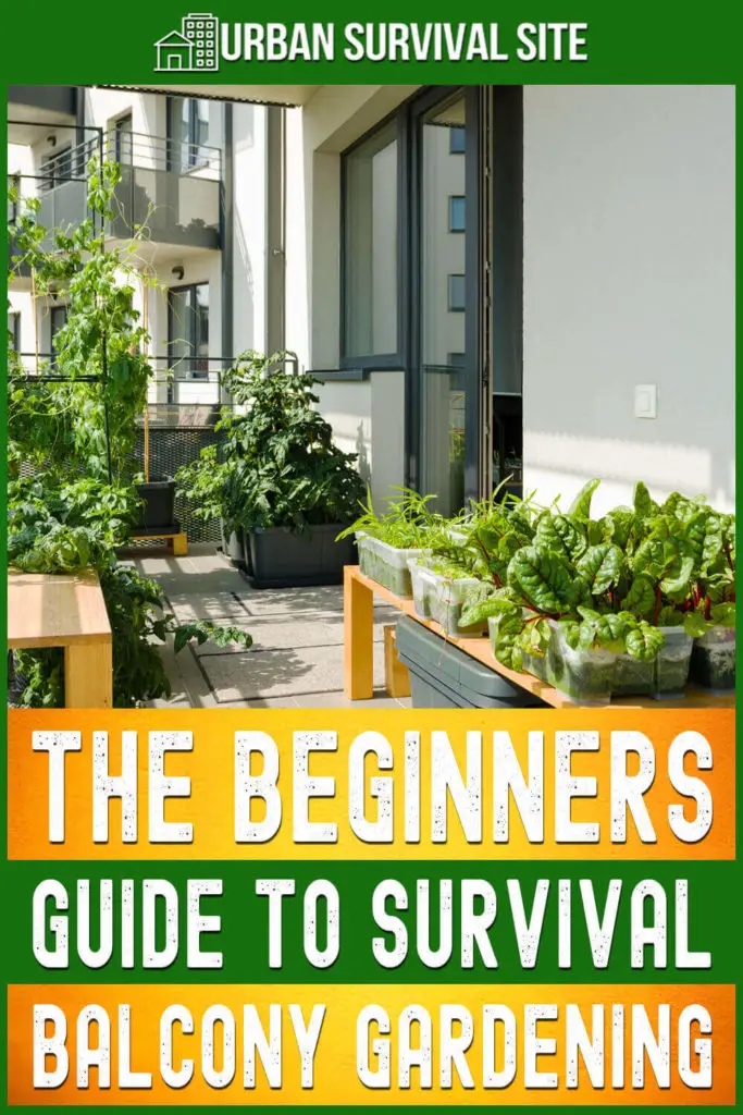 The Beginner's Guide to Survival Balcony Gardening