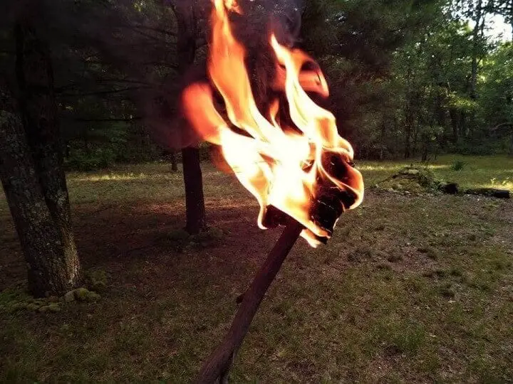 The Birch Bark Torch Burning