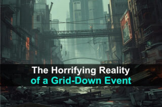 The Horrifying Reality of a Grid-Down Event