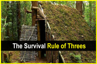 The Survival Rule of Threes