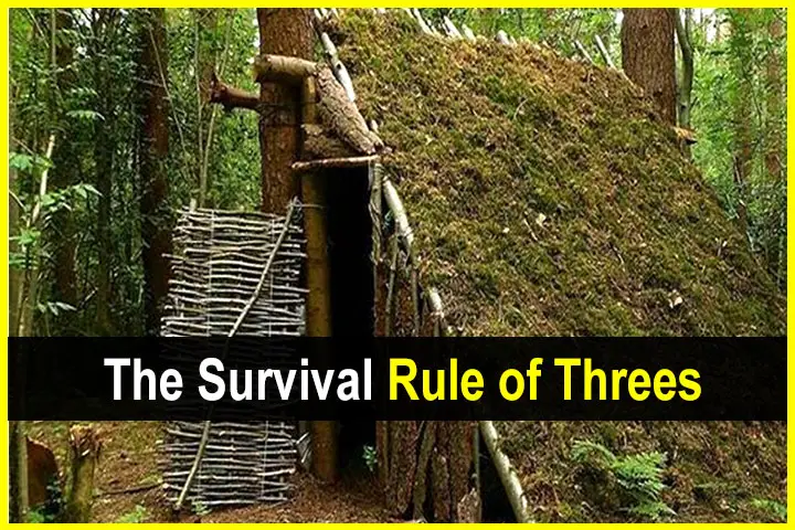 The Survival Rule of Threes