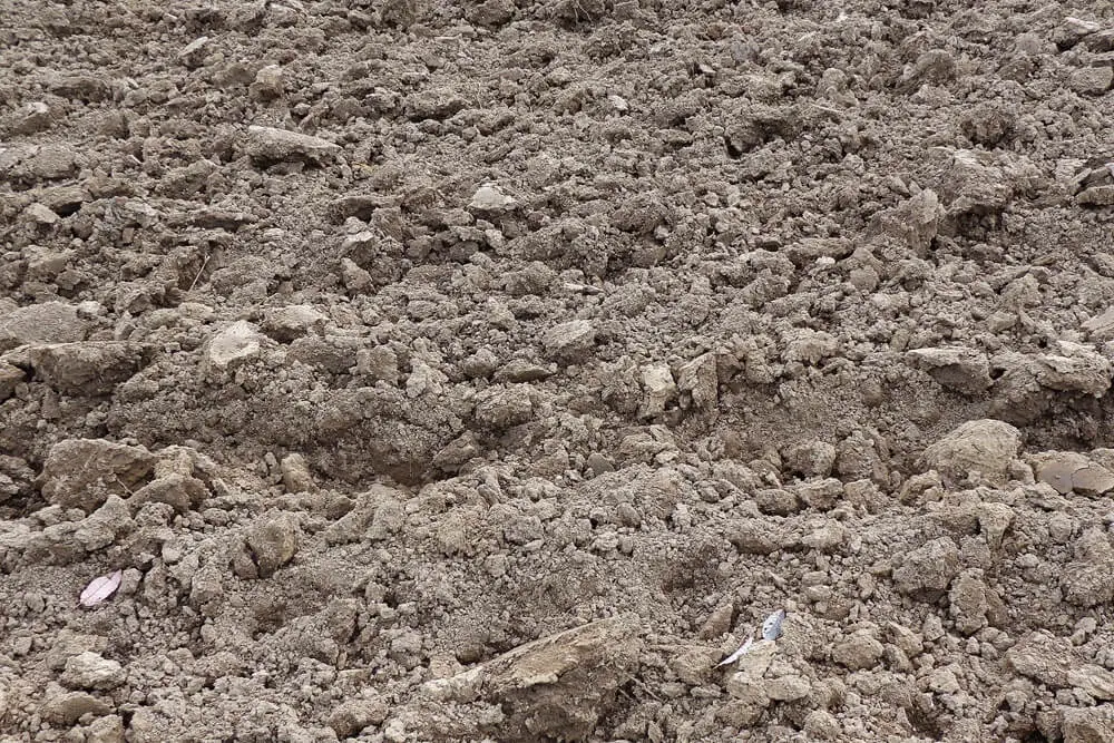 Tilling Soil