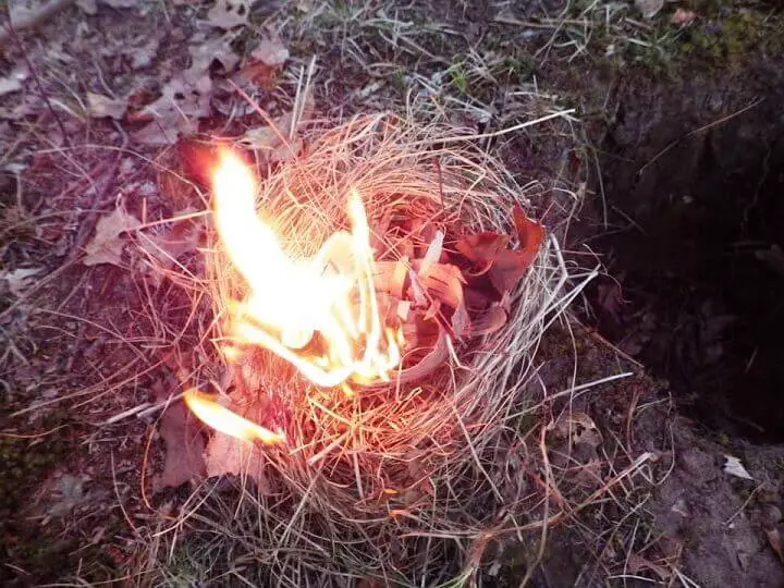 Tinder Nest On Fire