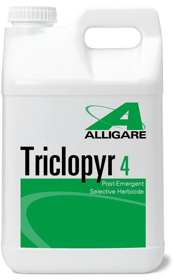 Triclopyr Bottle