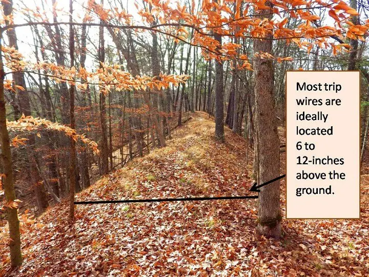 Trip Wire Location