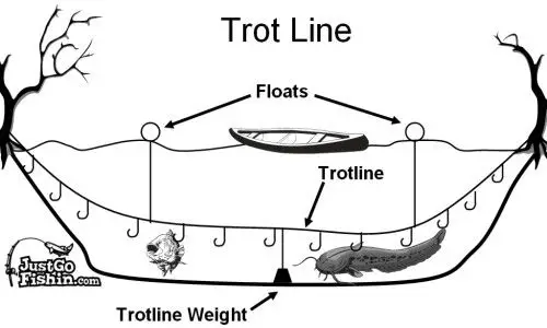 Trot Line Diagram